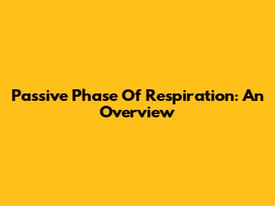 Passive Phase Of Respiration: An Overview